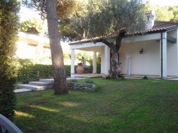 Giardino - Villa viale dei Ligustri, Ravenna (zona Porto Corsini) - foto 2