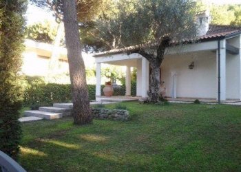 Giardino - Villa viale dei Ligustri, Ravenna (zona Porto Corsini) - foto 2