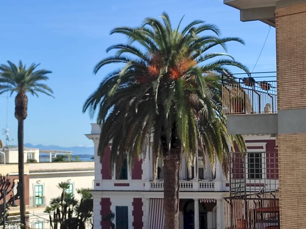 Vista - Four-room apartment via di Villa Adele, 25, Anzio - photo 1