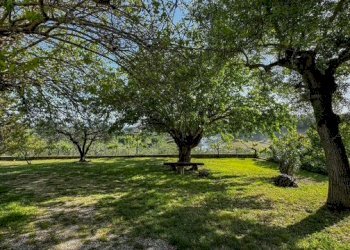 Villa vocabolo carzaconte, Magliano Sabina - foto 16