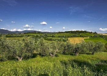 Villa vocabolo carzaconte, Magliano Sabina - foto 19