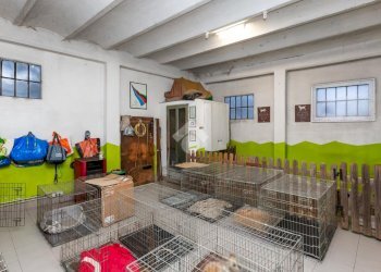 Casa indipendente Via Torino, Beinasco - foto 21