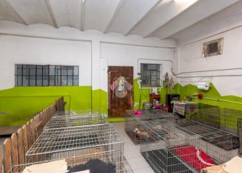 Casa indipendente Via Torino, Beinasco - foto 22