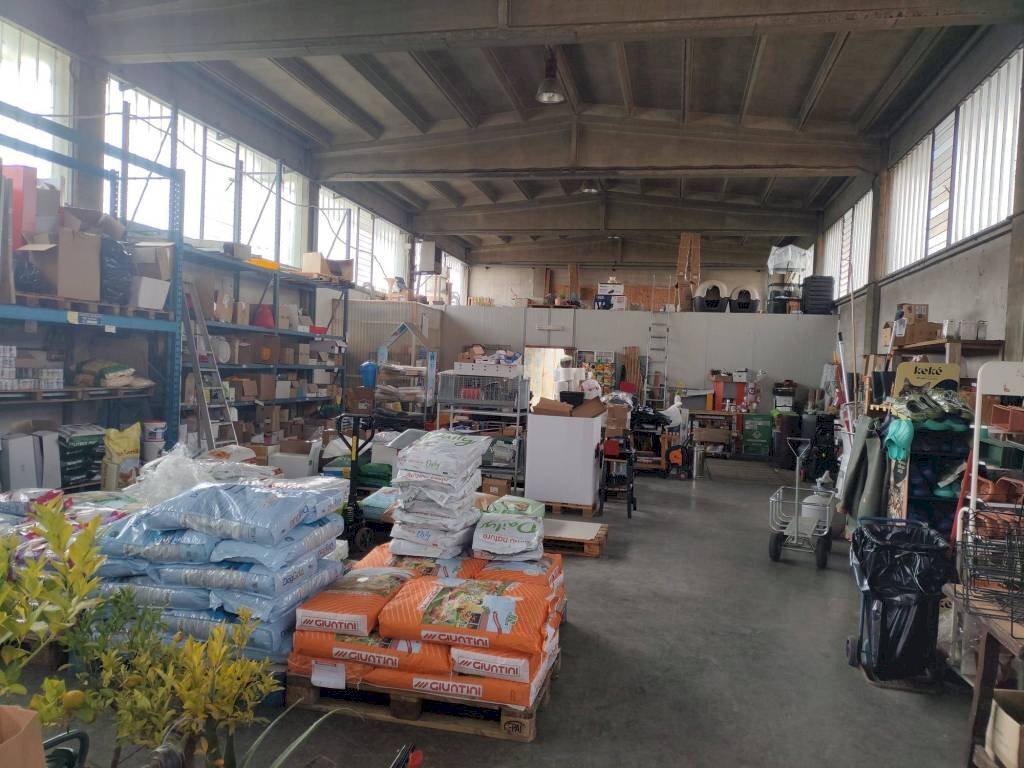 Commercial Activity Vigone - photo 1