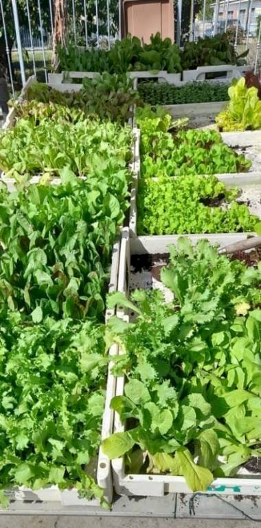 Commercial Activity Vigone - photo 3