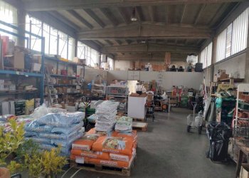 Attività Commerciale Vigone - foto 1