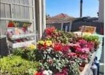 Attività Commerciale Vigone - foto 4