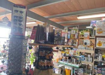 Attività Commerciale Vigone - foto 6