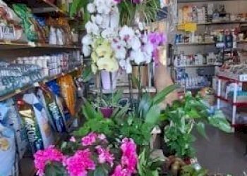 Attività Commerciale Vigone - foto 7