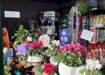 Attività Commerciale Vigone - foto 8