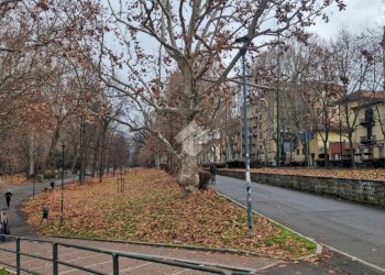 Appartamento Zona Gran Madre, Torino (zona Borgo Po) - foto 11