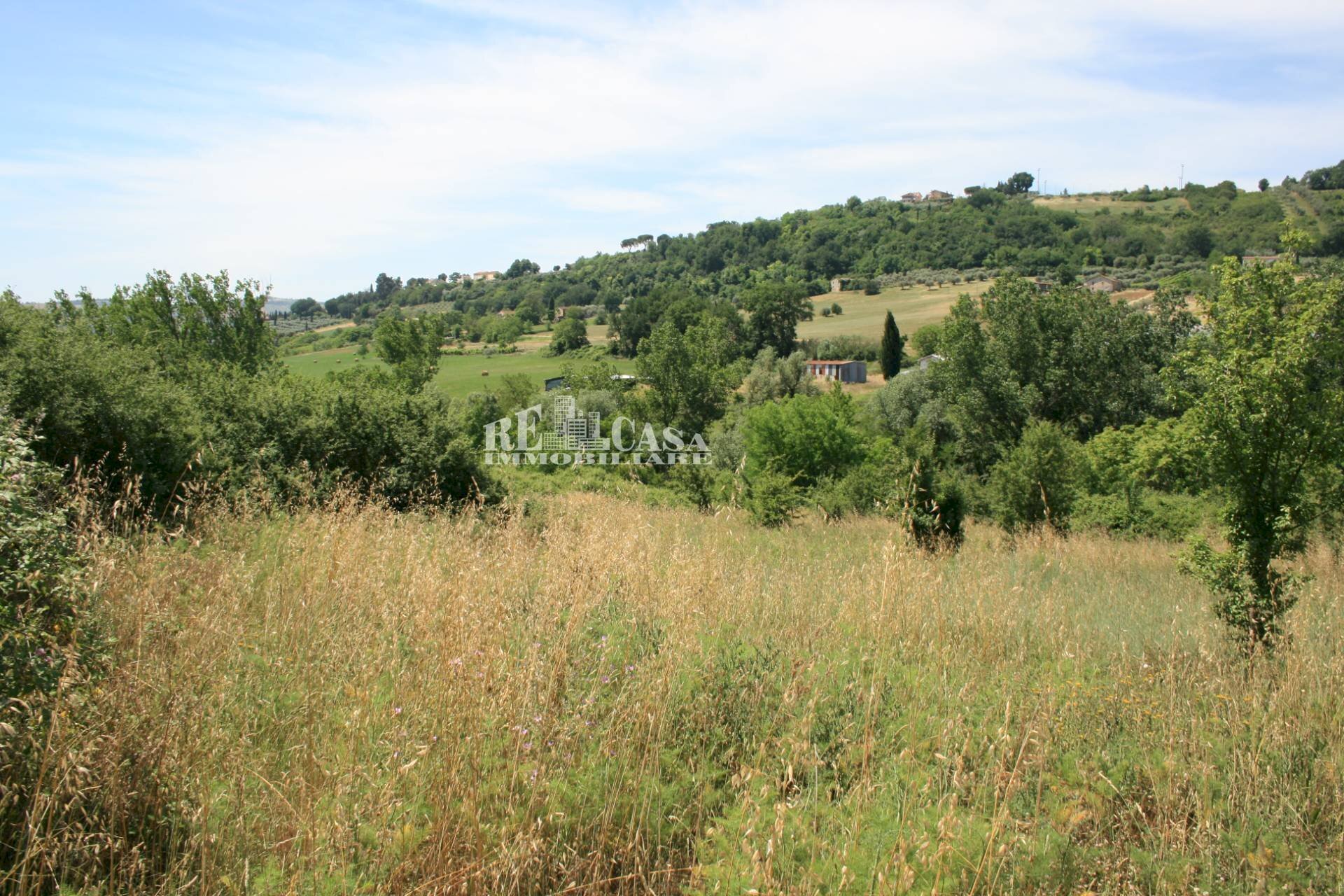 Foto 3 - Agricultural land contrada fontanelle, Monsampolo del Tronto - photo 3