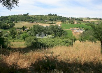 Foto 1 - Terreno agricolo contrada fontanelle, Monsampolo del Tronto - foto 1