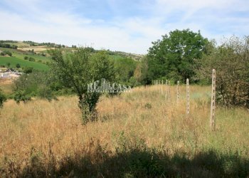 Foto 2 - Terreno agricolo contrada fontanelle, Monsampolo del Tronto - foto 2