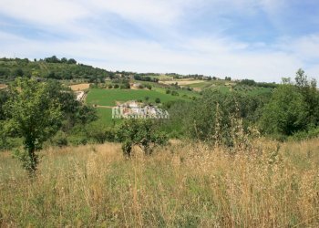 Foto 4 - Terreno agricolo contrada fontanelle, Monsampolo del Tronto - foto 4