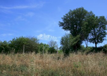 Foto 5 - Terreno agricolo contrada fontanelle, Monsampolo del Tronto - foto 5
