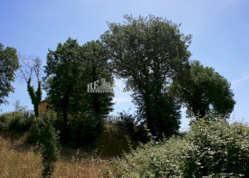 Foto 6 - Terreno agricolo contrada fontanelle, Monsampolo del Tronto - foto 6