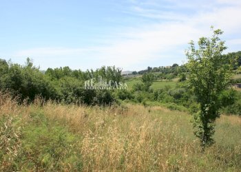 Foto 7 - Terreno agricolo contrada fontanelle, Monsampolo del Tronto - foto 7