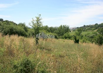 Foto 8 - Terreno agricolo contrada fontanelle, Monsampolo del Tronto - foto 8