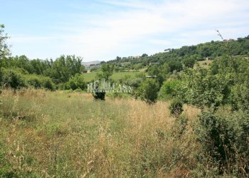 Foto 9 - Terreno agricolo contrada fontanelle, Monsampolo del Tronto - foto 9