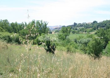Foto 11 - Terreno agricolo contrada fontanelle, Monsampolo del Tronto - foto 11