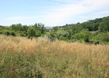 Foto 12 - Terreno agricolo contrada fontanelle, Monsampolo del Tronto - foto 12