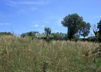 Foto 14 - Terreno agricolo contrada fontanelle, Monsampolo del Tronto - foto 14