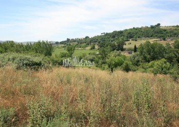 Foto 15 - Terreno agricolo contrada fontanelle, Monsampolo del Tronto - foto 15