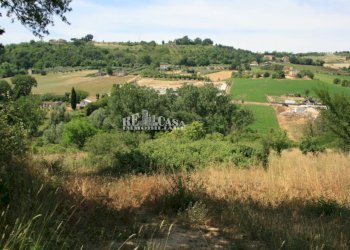 Foto 17 - Terreno agricolo contrada fontanelle, Monsampolo del Tronto - foto 17
