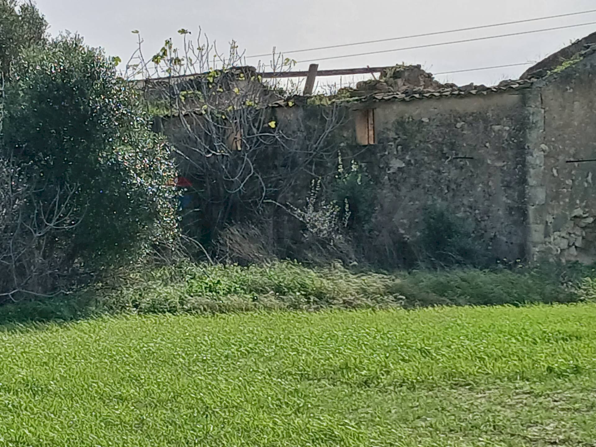 Giardino - Terreno edificabile contrada burgio
 
sn, Noto - foto 1