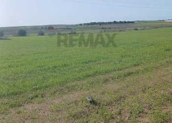 Giardino - Terreno edificabile contrada burgio
sn, Noto - foto 3