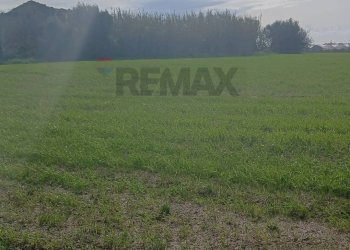 Giardino - Terreno edificabile contrada burgio
sn, Noto - foto 4