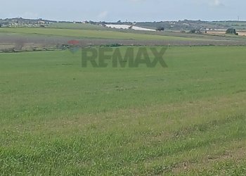 Giardino - Terreno edificabile contrada burgio
sn, Noto - foto 5