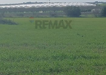 Giardino - Terreno edificabile contrada burgio
sn, Noto - foto 9