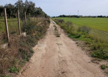 Vista delle montagne - Terreno edificabile contrada burgio
sn, Noto - foto 12