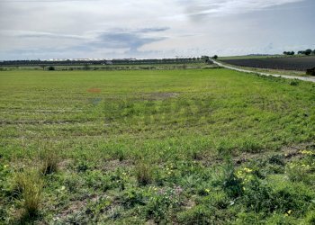 Giardino - Terreno edificabile contrada burgio
sn, Noto - foto 13
