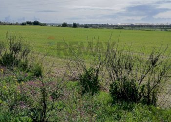 Giardino - Terreno edificabile contrada burgio
sn, Noto - foto 15