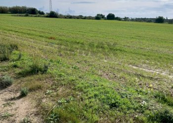 Giardino - Terreno edificabile contrada burgio
sn, Noto - foto 16