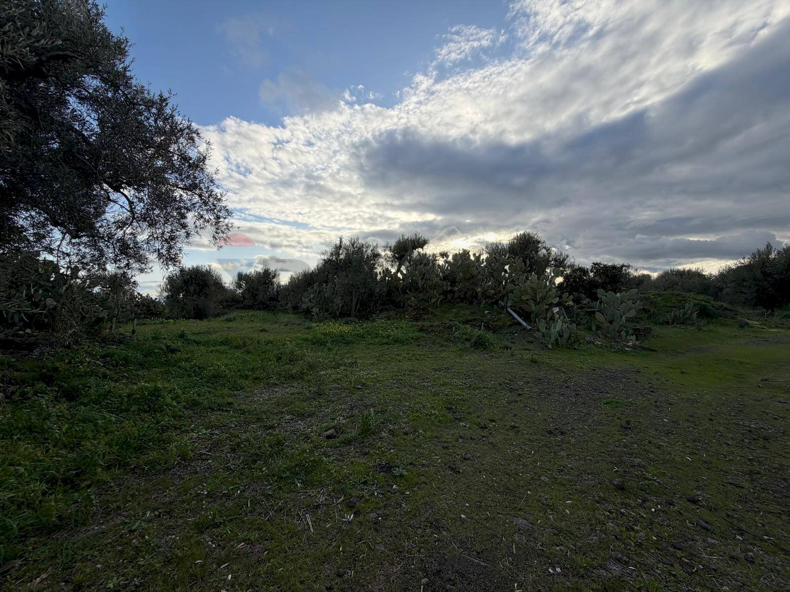 Giardino - Agricultural land ZONA ACQUAROSSA C.DA PETRAIO, Belpasso - photo 2