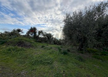 Giardino - Agricultural land ZONA ACQUAROSSA C.DA PETRAIO, Belpasso - photo 5