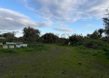 Giardino - Agricultural land ZONA ACQUAROSSA C.DA PETRAIO, Belpasso - photo 6