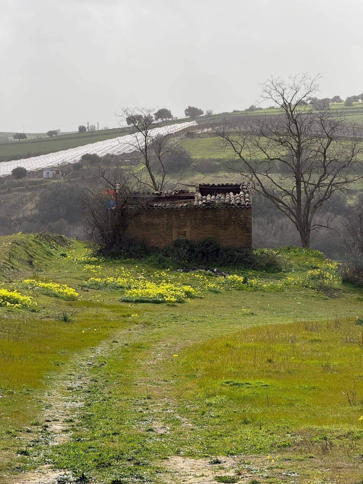Giardino - Agricultural land via luigi einaudi, Grammichele - photo 1