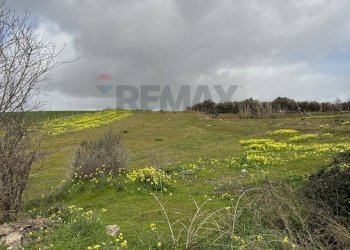 Giardino - Agricultural land via luigi einaudi, Grammichele - photo 6
