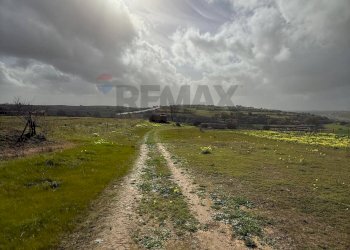 Giardino - Agricultural land via luigi einaudi, Grammichele - photo 8