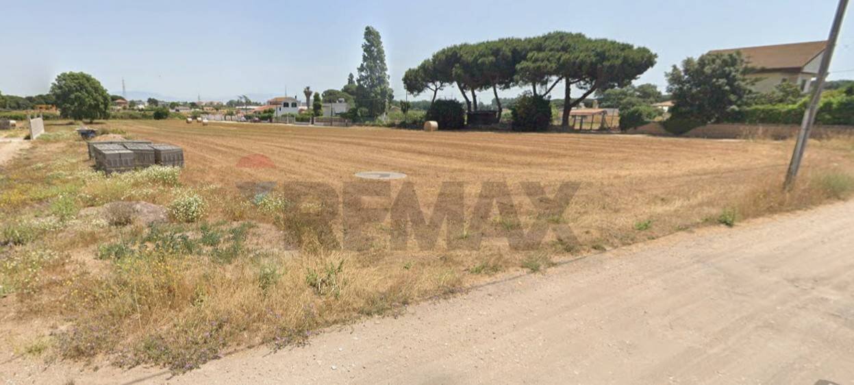 Giardino - Agricultural land via zanella, Anzio - photo 3