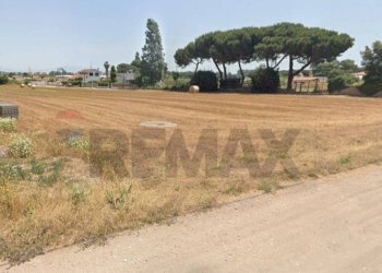 Giardino - Agricultural land via zanella, Anzio - photo 3