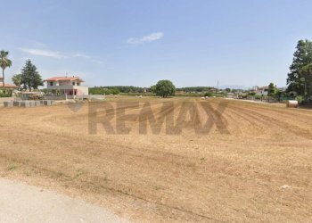 Non correlato - Agricultural land via zanella, Anzio - photo 4