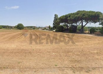 Non correlato - Agricultural land via zanella, Anzio - photo 5