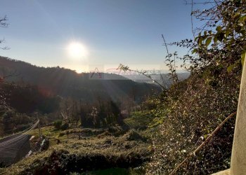 Foto 5 - Casa semi indipendente Pietrasanta - foto 5