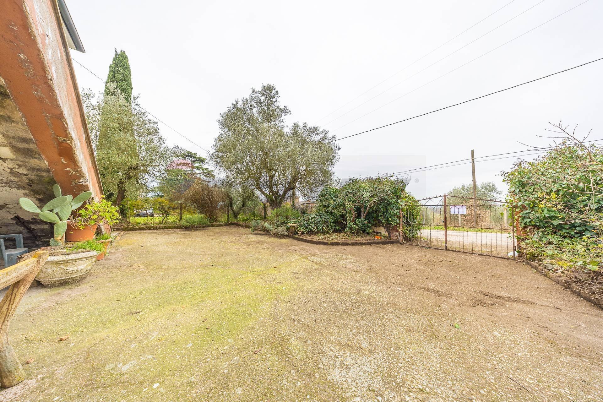 Giardino - Rustico Località Banditaccia, Faleria - foto 3